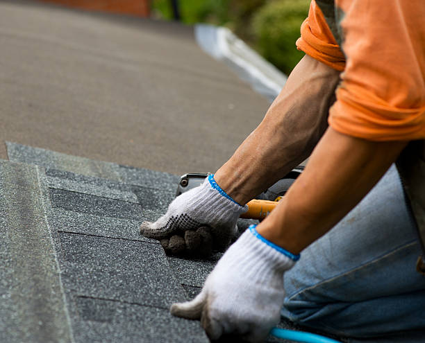Best Roof Gutter Cleaning  in Oak Ridge, NJ